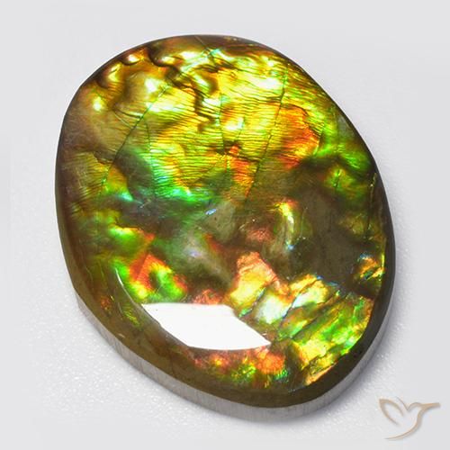 amolita Multicolor natural de 14.70 ct, Elegante, Opaco