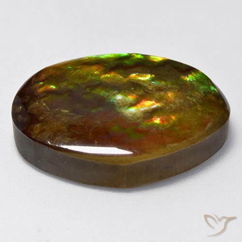 amolita Multicolor natural de 14.70 ct, Elegante, Opaco