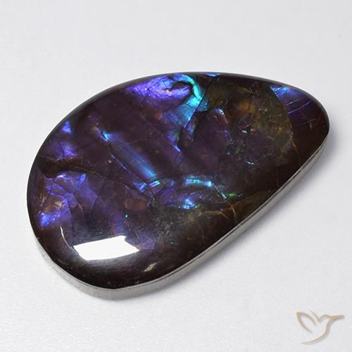 19.21ct Natural Multicolor amolita, Elegante, Opaco
