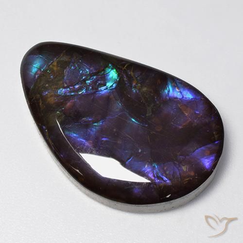 amolita Multicolor natural de 19.21 ct, Elegante, Opaco