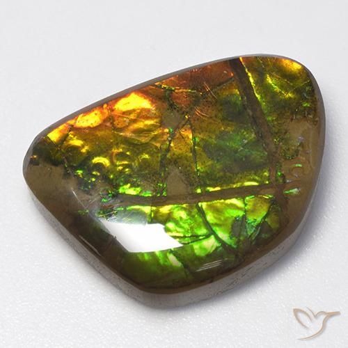 amolita Multicolor natural de 13.40 ct, Elegante, Opaco
