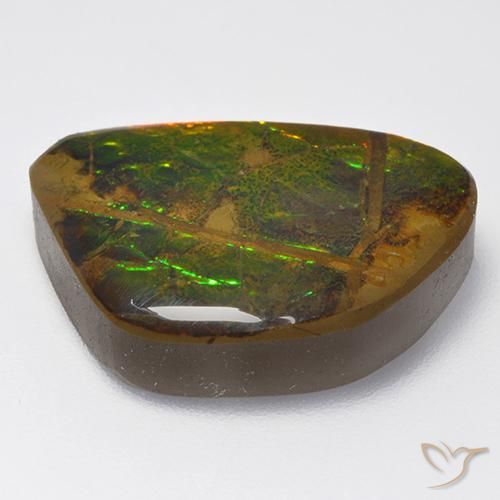amolita Multicolor natural de 13.40 ct, Elegante, Opaco