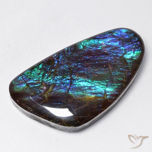 amolita Multicolor natural de 18.97 ct, Elegante, Opaco