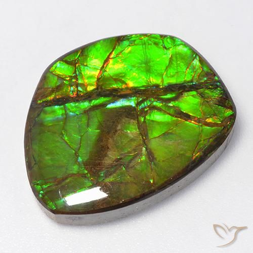 15.50ct Natural Multicolor amolita, Elegante, Opaco