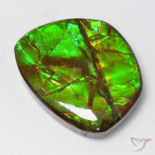 amolita Multicolor natural de 15.50 ct, Elegante, Opaco