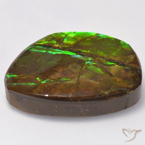 amolita Multicolor natural de 15.50 ct, Elegante, Opaco