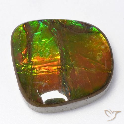 13.06ct Natural Multicolor amolita, Elegante, Opaco