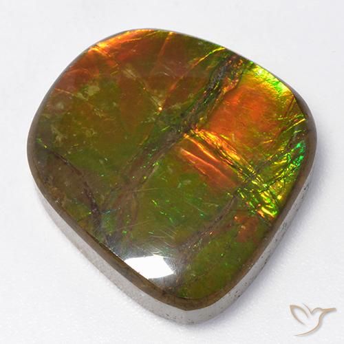 amolita Multicolor natural de 13.06 ct, Elegante, Opaco