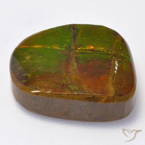 amolita Multicolor natural de 13.06 ct, Elegante, Opaco