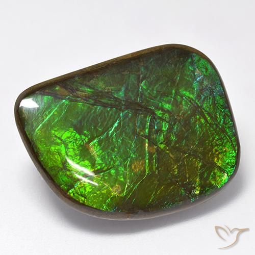 19.75ct Natural Multicolor amolita, Elegante, Opaco