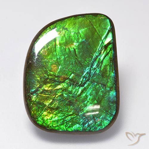 amolita Multicolor natural de 19.75 ct, Elegante, Opaco