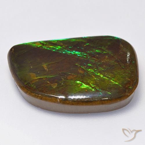 amolita Multicolor natural de 19.75 ct, Elegante, Opaco