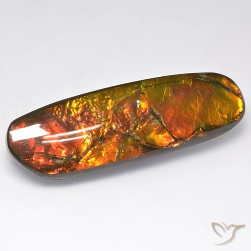 18.52ct Natural Multicolor amolita, Elegante, Opaco