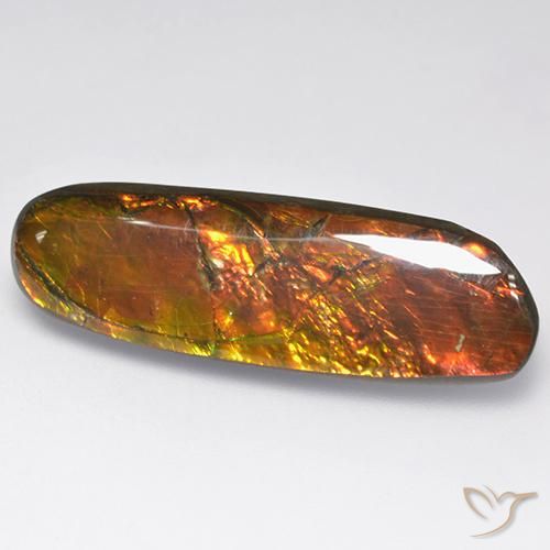 amolita Multicolor natural de 18.52 ct, Elegante, Opaco