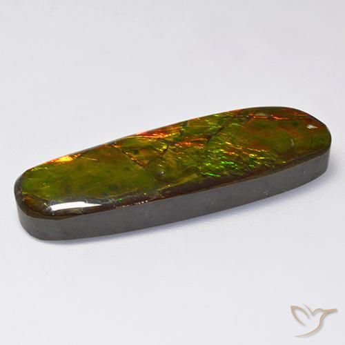 amolita Multicolor natural de 18.52 ct, Elegante, Opaco