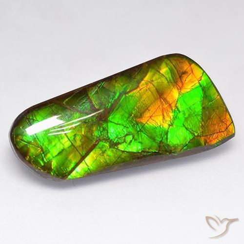 16.18ct Natural Multicolor amolita, Elegante, Opaco