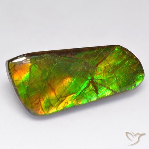 amolita Multicolor natural de 16.18 ct, Elegante, Opaco
