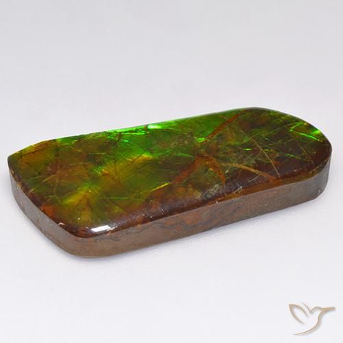 amolita Multicolor natural de 16.18 ct, Elegante, Opaco