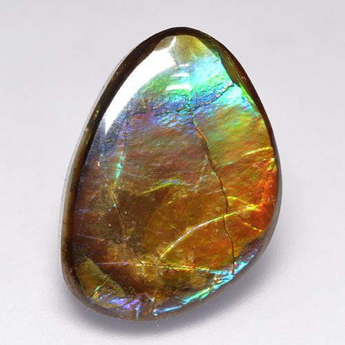 Ammolita multicolor natural de 14,52 ct, forma elegante, opaco