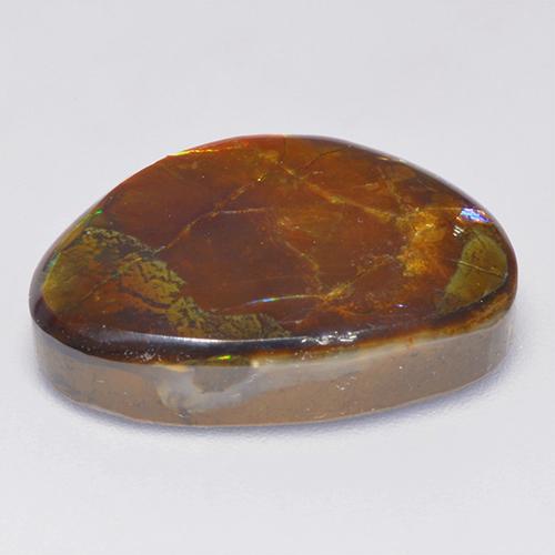 Ammolita multicolor natural de 14,52 ct, forma elegante, opaco