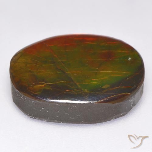 amolita Multicolor natural de 12.19 ct, Elegante, Opaco