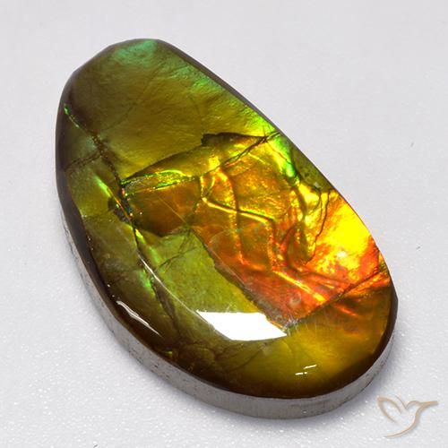 amolita Multicolor natural de 13.86 ct, Elegante, Opaco