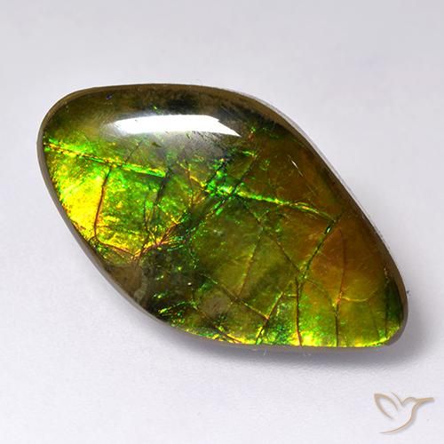 amolita Multicolor natural de 14.12 ct, Elegante, Opaco