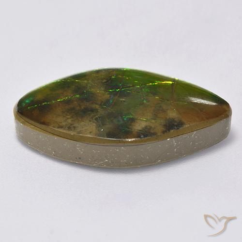 amolita Multicolor natural de 14.12 ct, Elegante, Opaco