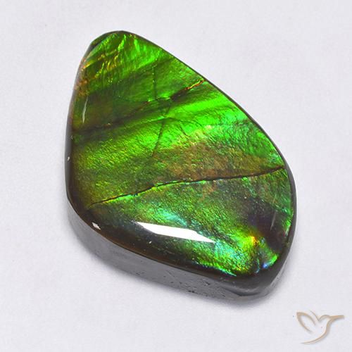 22.30ct Natural Multicolor amolita, Elegante, Opaco