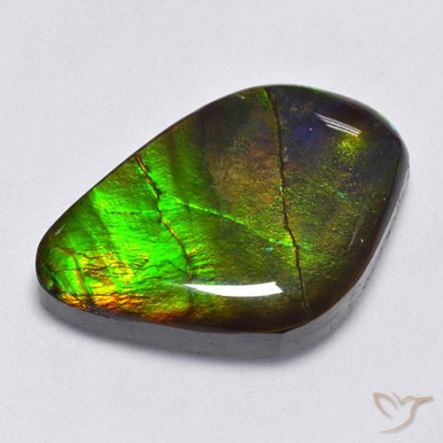 amolita Multicolor natural de 22.30 ct, Elegante, Opaco