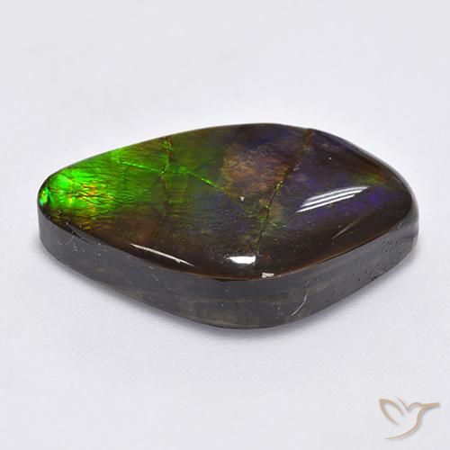 amolita Multicolor natural de 22.30 ct, Elegante, Opaco
