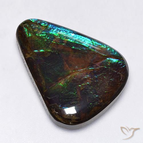 17.25ct Natural Multicolor amolita, Elegante, Opaco
