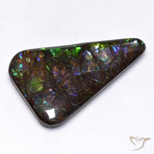 17.65ct Natural Multicolor amolita, Elegante, Opaco