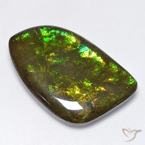 amolita Multicolor natural de 18.89 ct, Elegante, Opaco