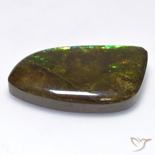 amolita Multicolor natural de 18.89 ct, Elegante, Opaco
