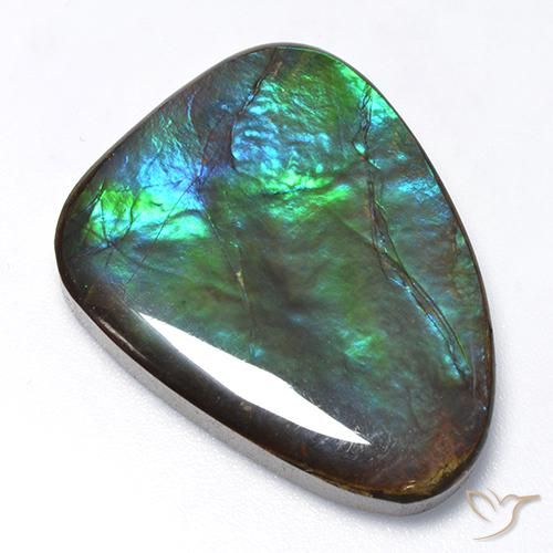 25.47ct Natural Multicolor amolita, Elegante, Opaco