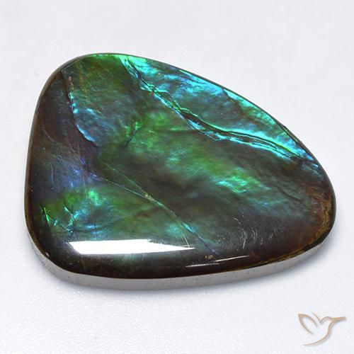 amolita Multicolor natural de 25.47 ct, Elegante, Opaco