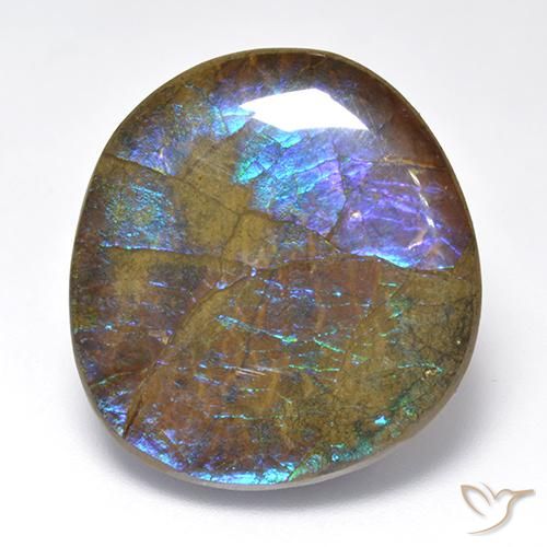 23.02ct Natural Multicolor amolita, Elegante, Opaco