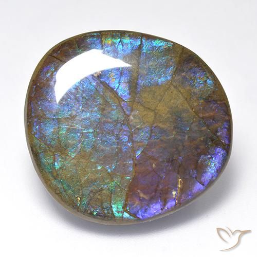 amolita Multicolor natural de 23.02 ct, Elegante, Opaco
