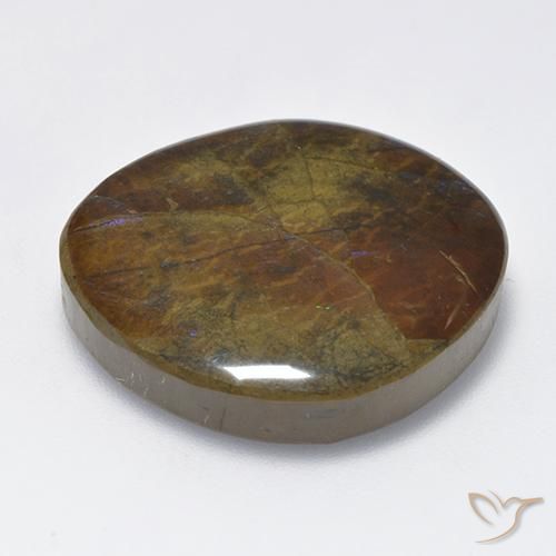 amolita Multicolor natural de 23.02 ct, Elegante, Opaco
