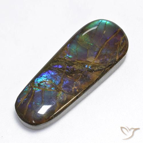 amolita Multicolor natural de 16.62 ct, Elegante, Opaco