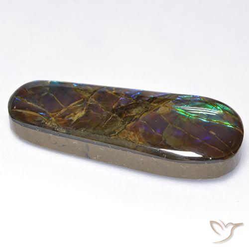 amolita Multicolor natural de 16.62 ct, Elegante, Opaco