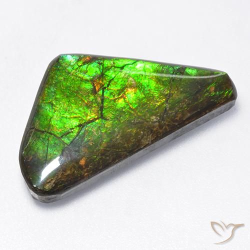 10.43ct Natural Multicolor amolita, Elegante, Opaco