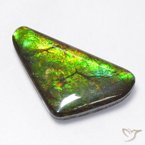 amolita Multicolor natural de 10.43 ct, Elegante, Opaco