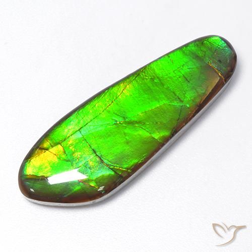 17.48ct Natural Multicolor amolita, Elegante, Opaco