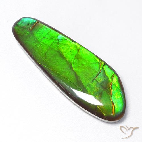 amolita Multicolor natural de 17.48 ct, Elegante, Opaco