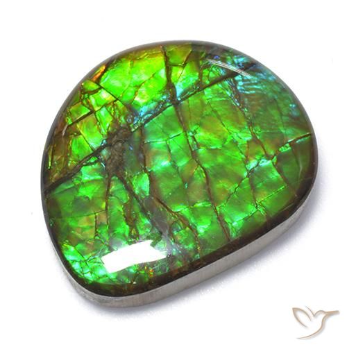 18.62ct Natural Multicolor amolita, Elegante, Opaco