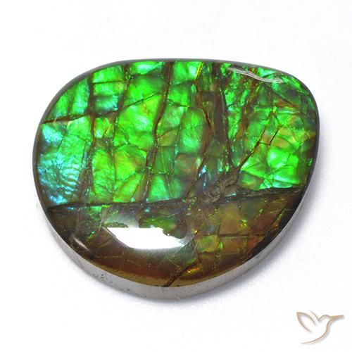 amolita Multicolor natural de 18.62 ct, Elegante, Opaco