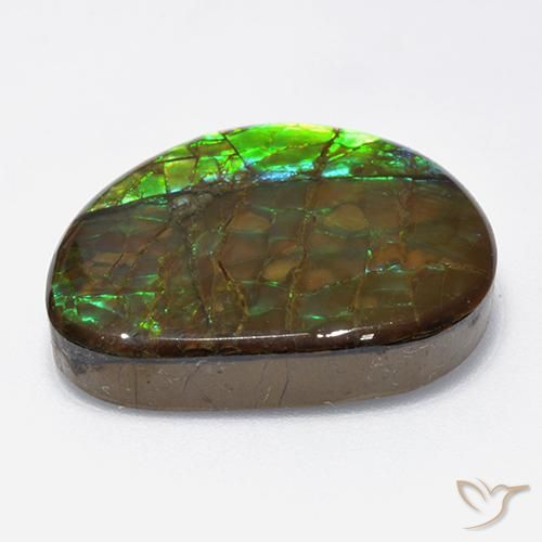 amolita Multicolor natural de 18.62 ct, Elegante, Opaco