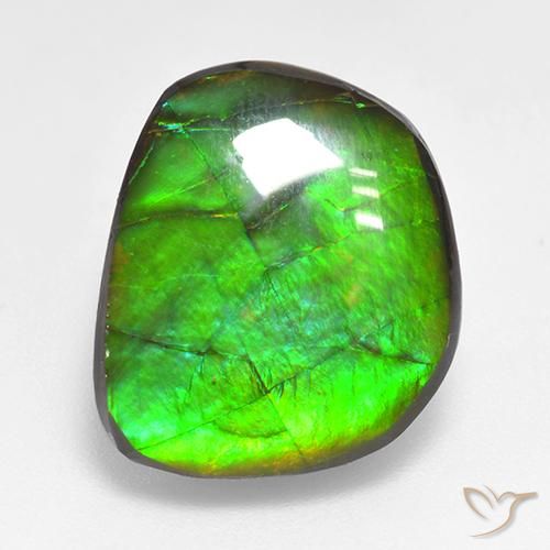 10.59ct Natural Multicolor amolita, Elegante, Opaco